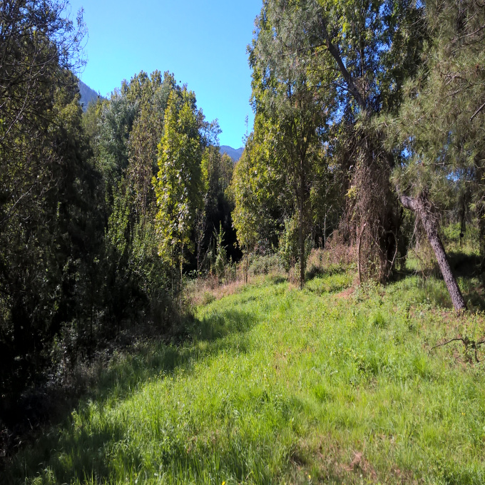 Offres de vente Terrain Prades (07380)