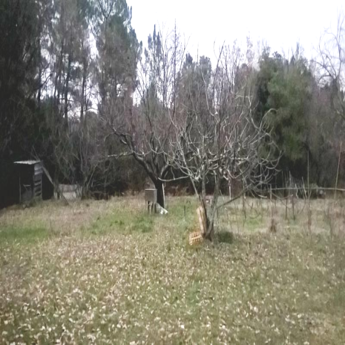 Offres de vente Terrain Ailhon (07200)