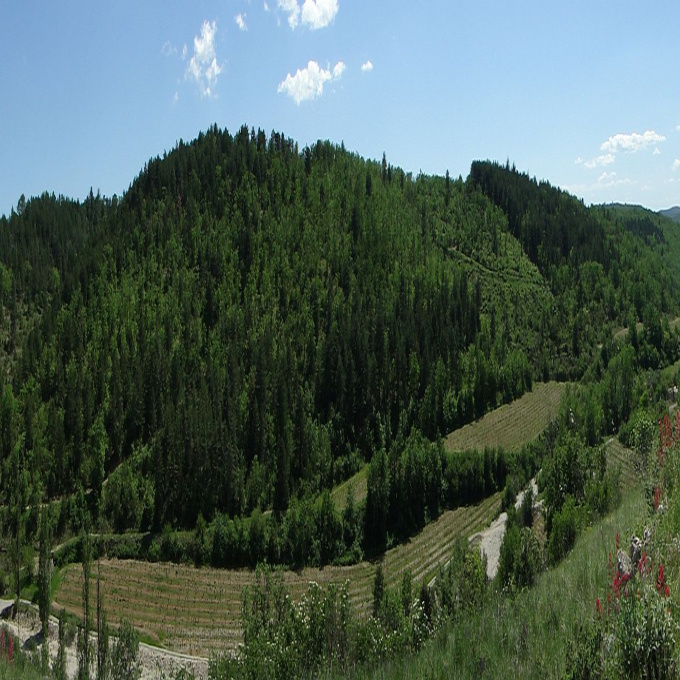 Offres de vente Terrain Saint-Andéol-de-Berg (07170)